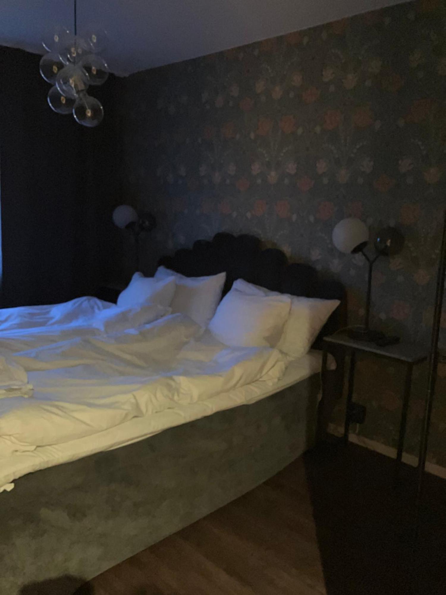 Riverside Hotel I Aengelholm المظهر الخارجي الصورة